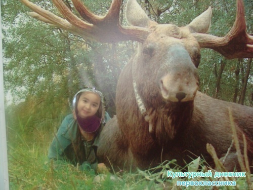 Историко-краеведческий музей8006