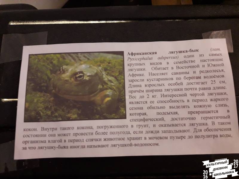 Выставка зоопарк "Живые тропики"60533