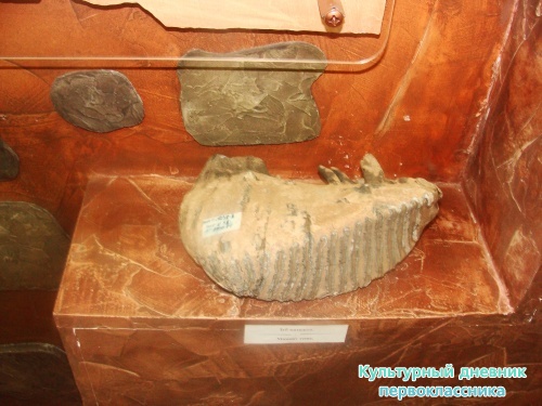 Музей истории города17366