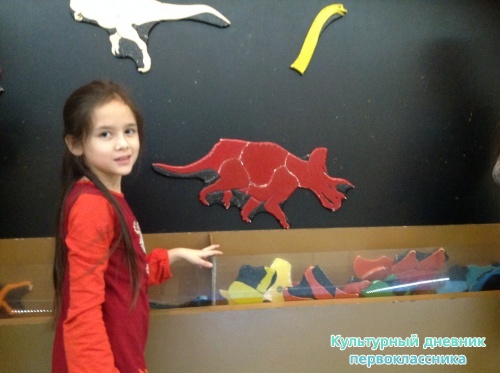 Музей естественной истории16849