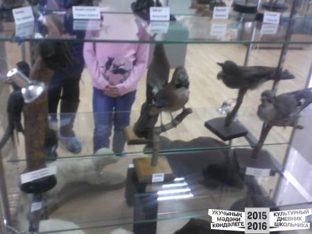 IMG_20160324_150252