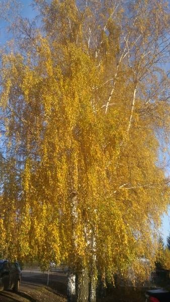 16c4b2aaf3f9e687c89a7dbb43dcb894