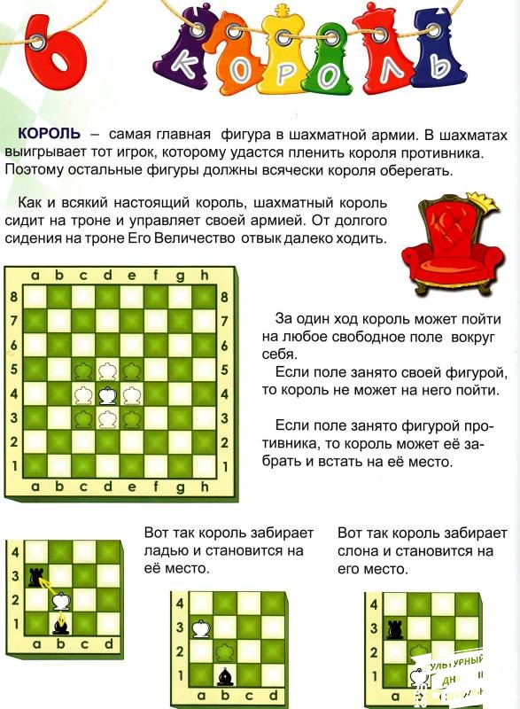 Урок 6 Король
