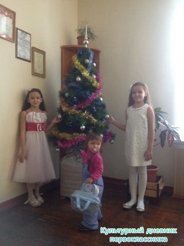 Новогодний концерт12739