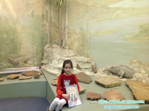 Музей естественной истории16834