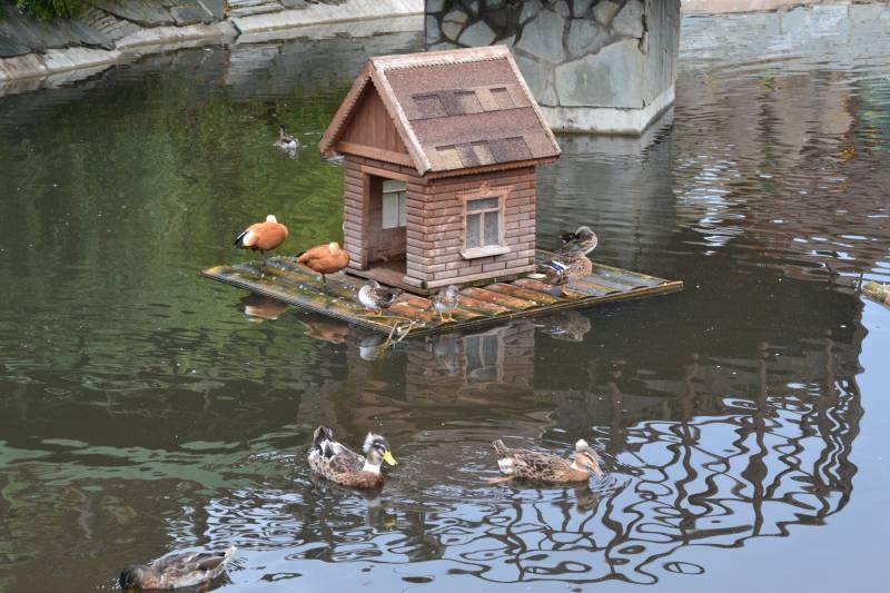 DSC_0642.JPG