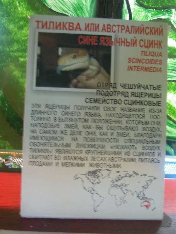 DSCN4868.JPG