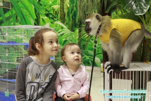 Мадагаскар выставка18125