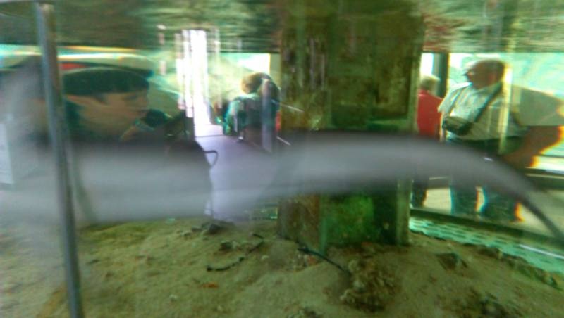 IMG_20160828_083416