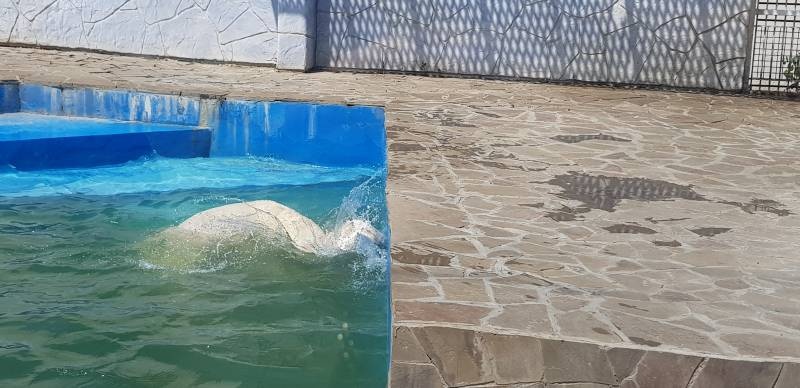 20190623_105842