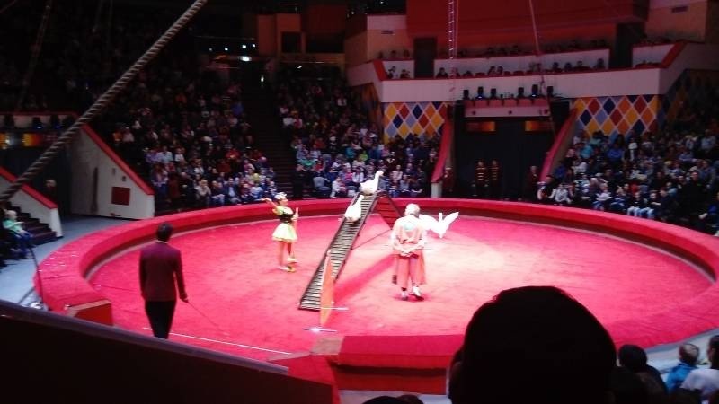 DSC_0795.JPG
