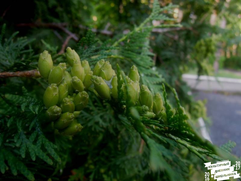 DSCN0316.JPG