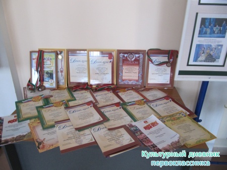 Пестречинская звездочка24349