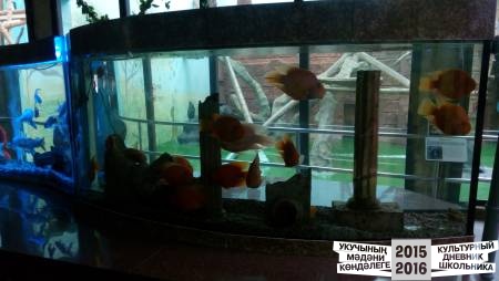 IMG_20160828_083557