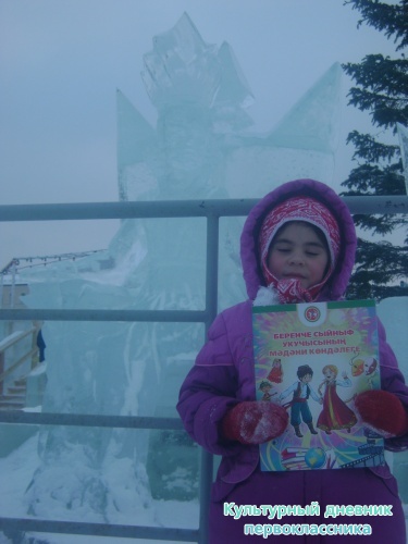 я и дневник17296