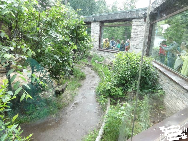 DSC05978.JPG