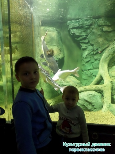 Океанариум