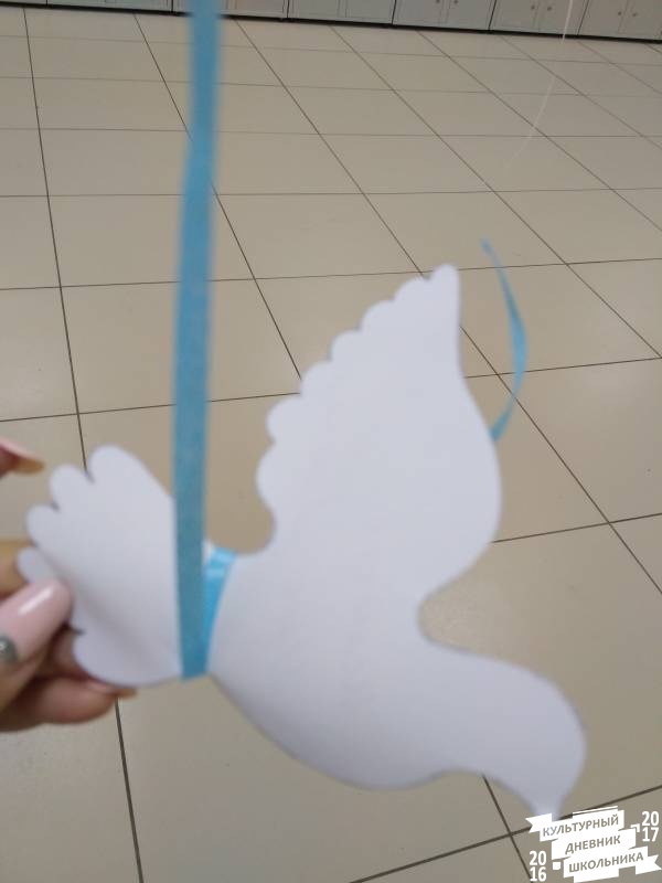 голубь3