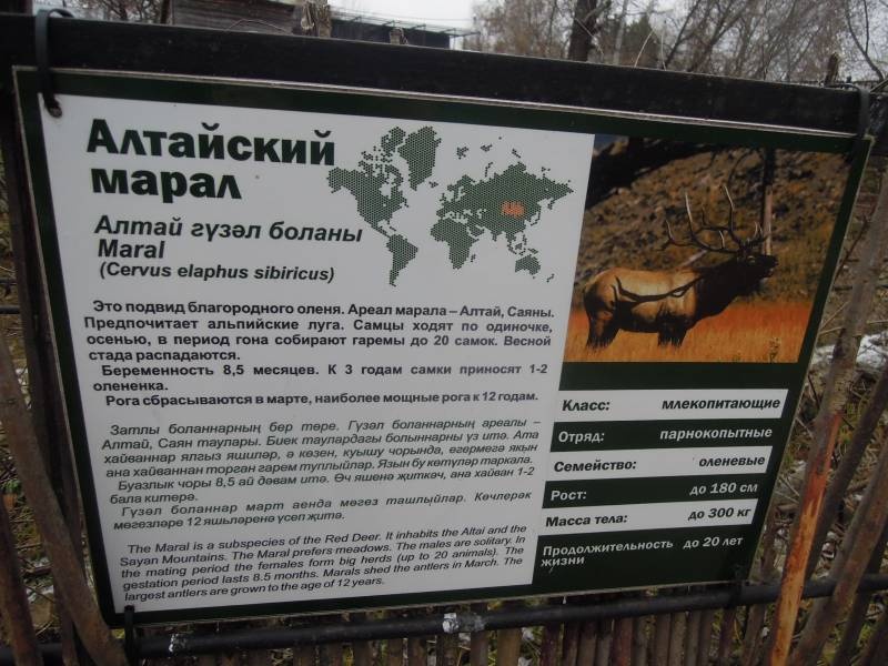 DSCN4887.JPG