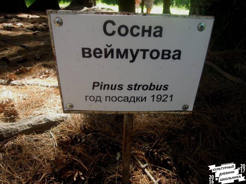 DSCN1595.JPG