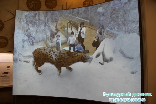 Новый экспонат «Ледниковый период»16500