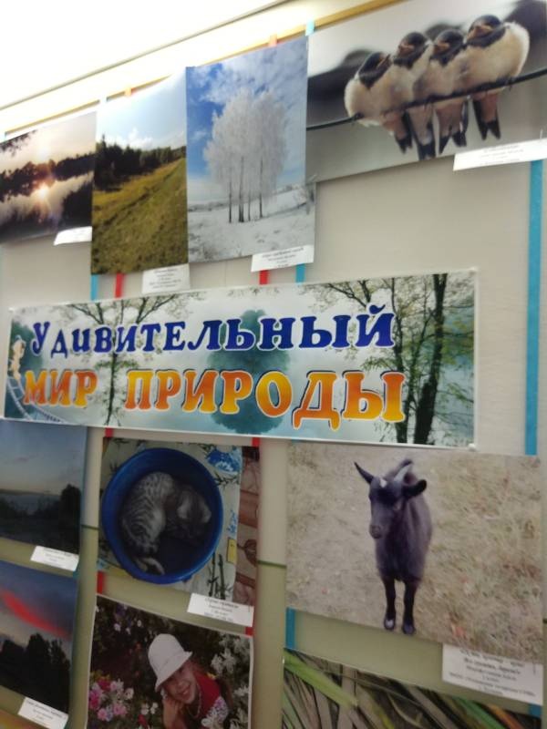 Удивительный мир природы100778
