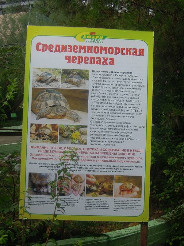 DSCN0185.JPG