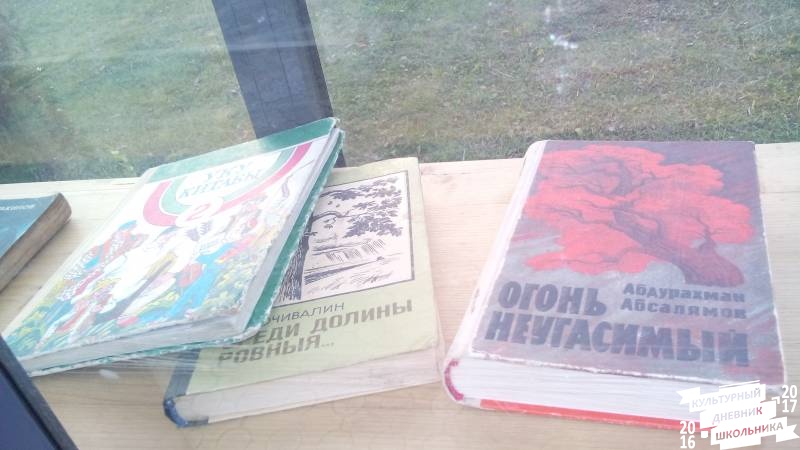 Уличные библиотеки Альметьевска. 31.10.17г.84586
