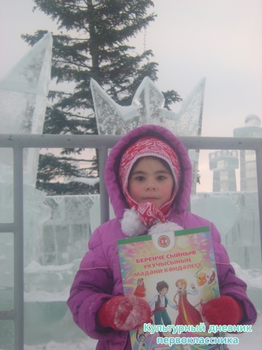 я и дневник17295