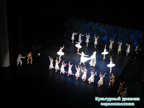 Елка в Оперном15314