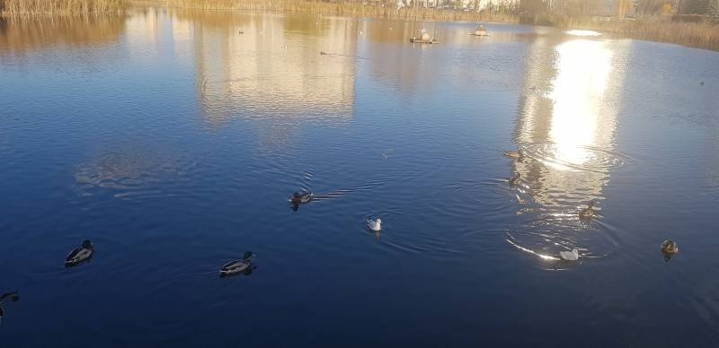 20191025_144413