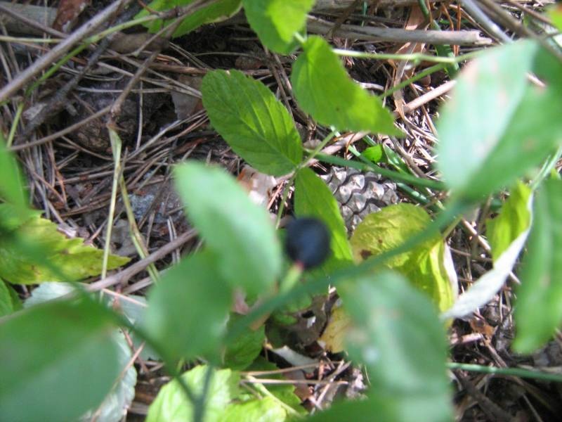 IMG_3714.JPG