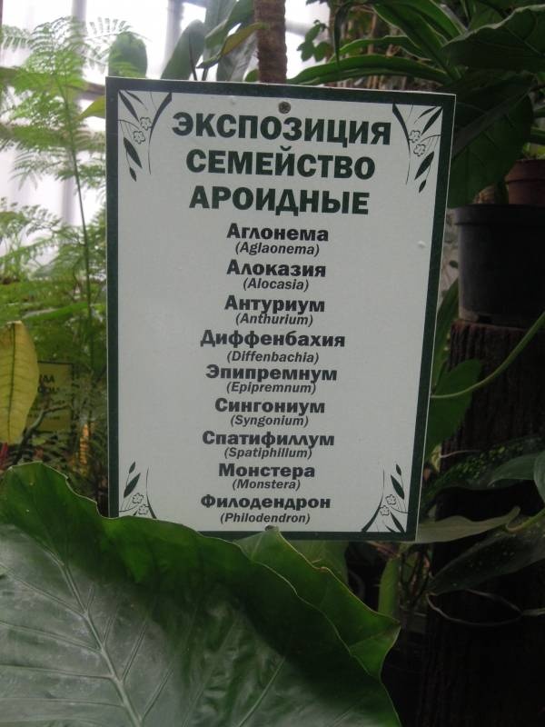 DSCN4783.JPG