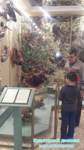 Актанышыбызның күрке - "Туган як" музеена сәяхәт!!!7351