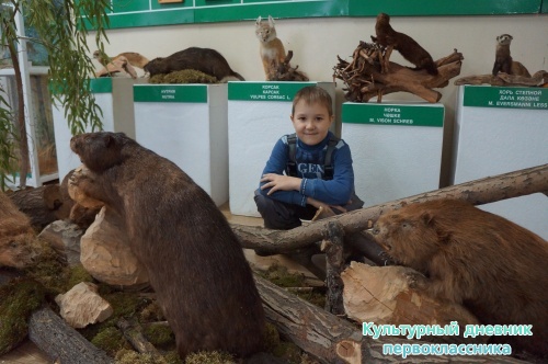 Музей экологии и природы2609