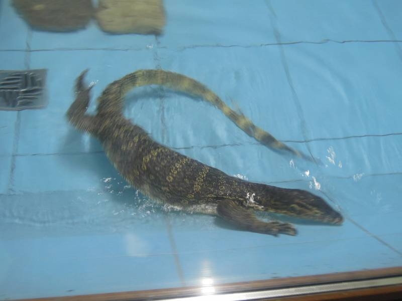 DSCN0419.JPG
