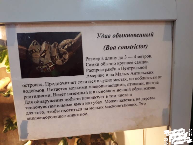 Выставка зоопарк "Живые тропики"60584
