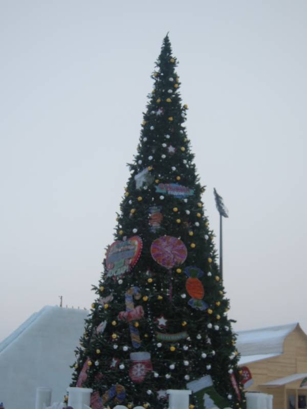 DSCN7014.JPG