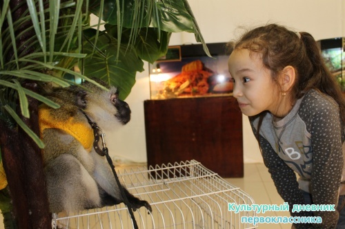 Мадагаскар выставка18131
