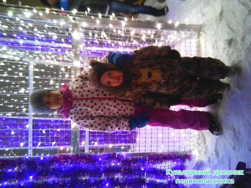 я с братиком на елке