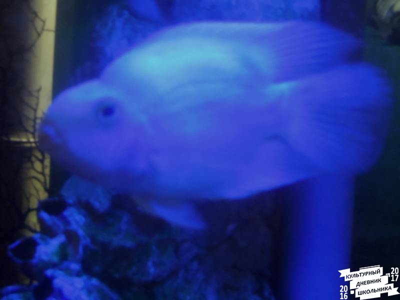 DSCN1832.JPG