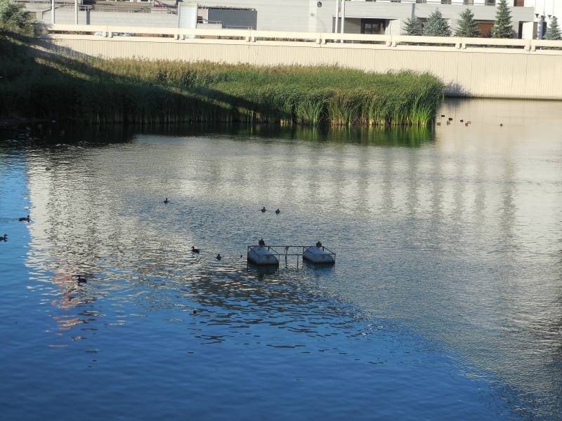 DSCN4677.JPG