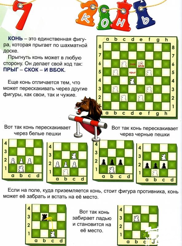 Урок 7 Конь