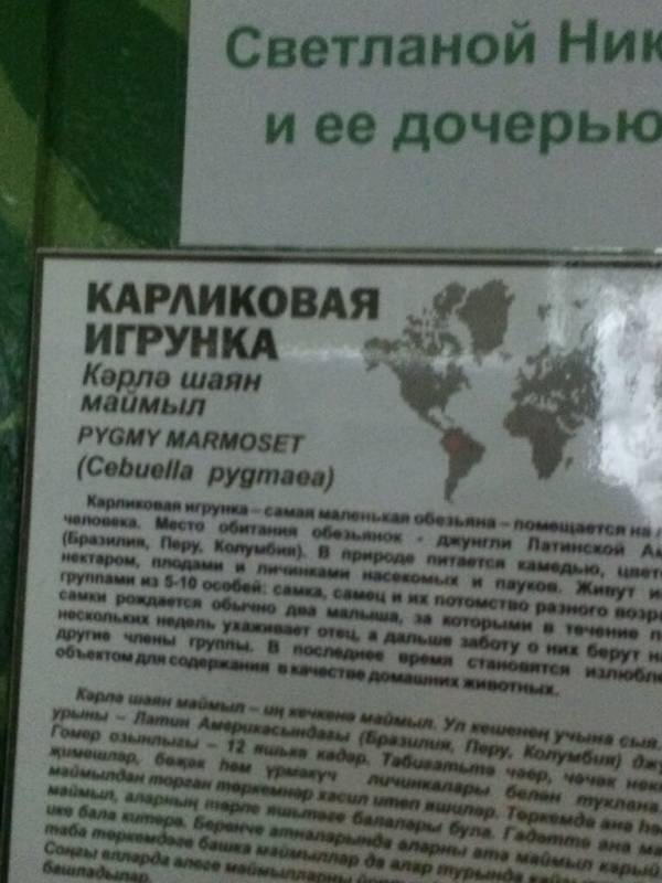 Казанский зооботсад92785