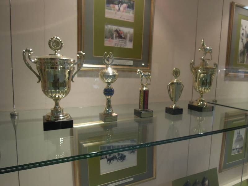 DSCN6810.JPG