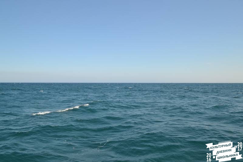 DSC_0356.JPG