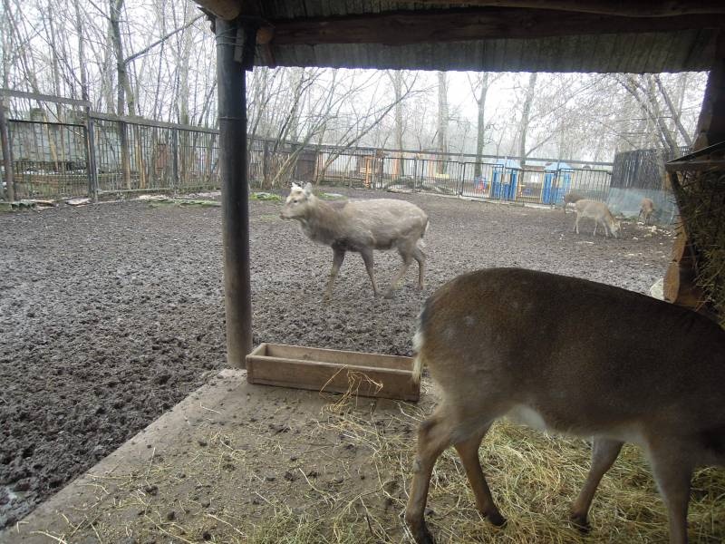 DSCN4902.JPG