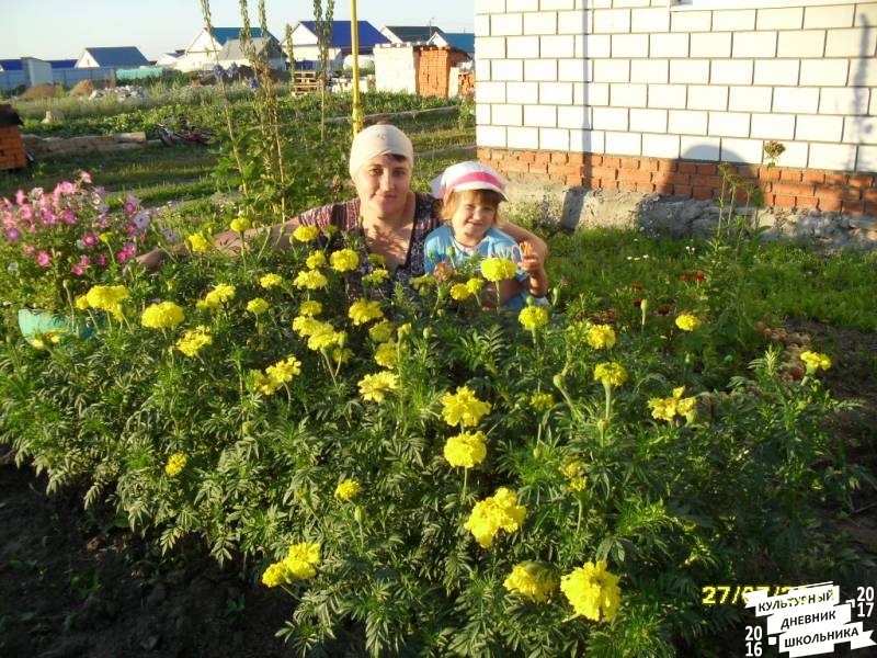 люблю лето82608