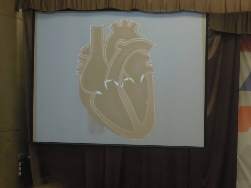 DSCN4273.JPG
