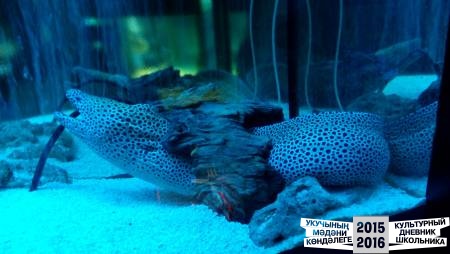 IMG_20160828_103436